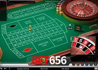 Descubra o Mundo do Cassino Online com bet656